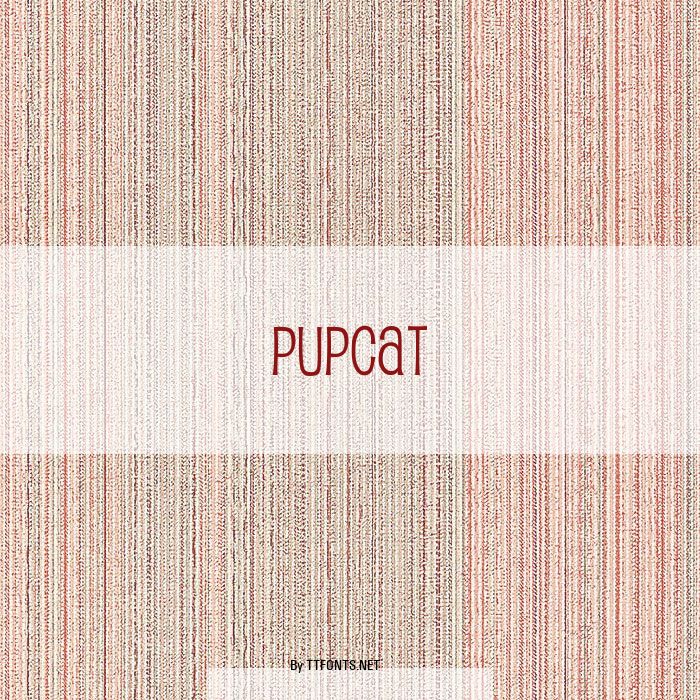 Pupcat example
