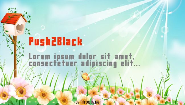 Push2Black example