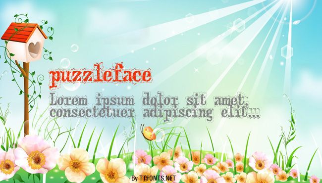 puzzleface example