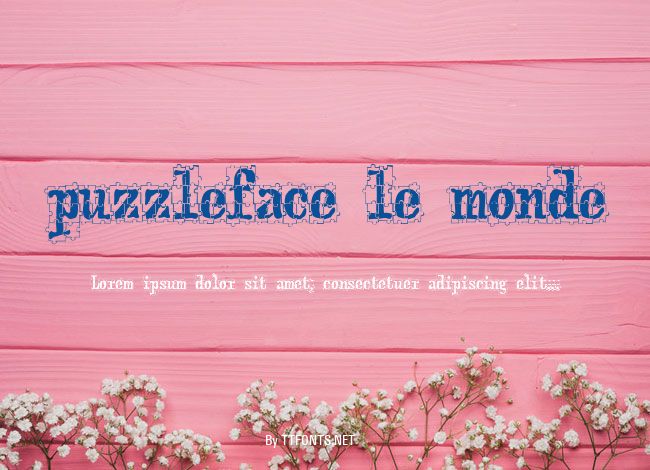 puzzleface le monde example