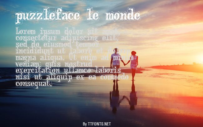 puzzleface le monde example