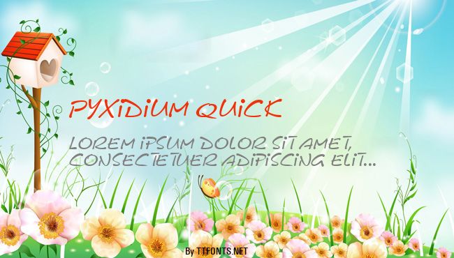 Pyxidium Quick example