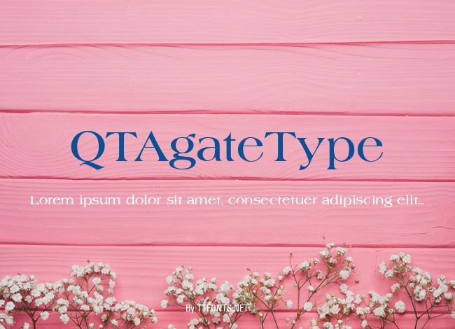 QTAgateType example