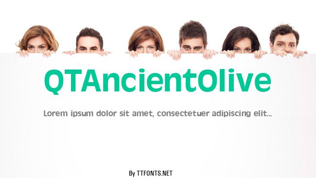 QTAncientOlive example