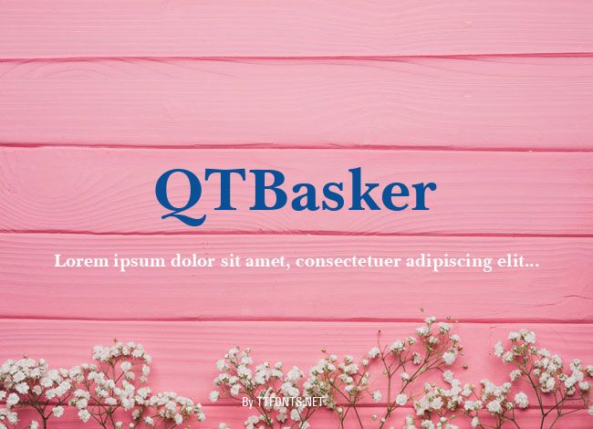 QTBasker example