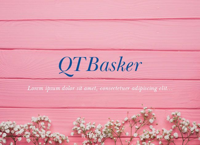 QTBasker example