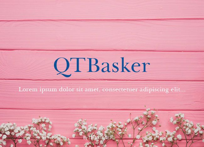 QTBasker example