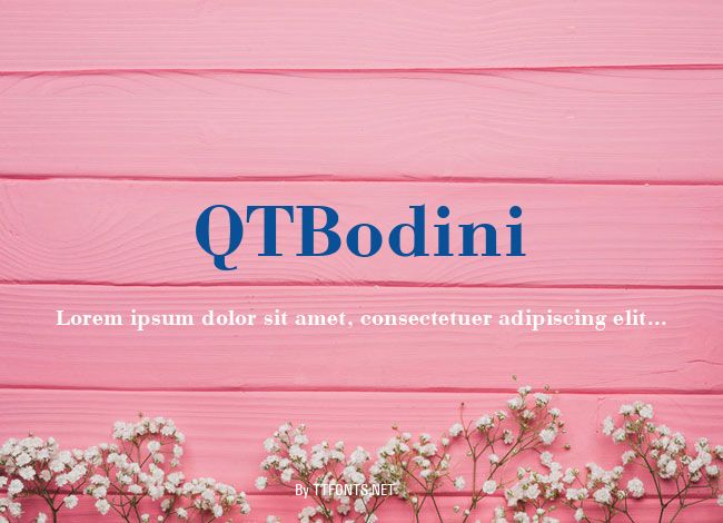 QTBodini example