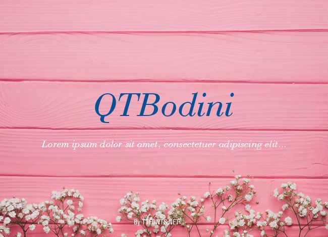 QTBodini example