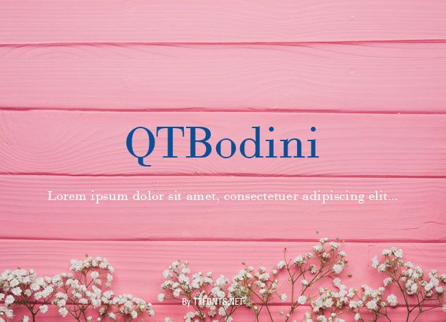 QTBodini example