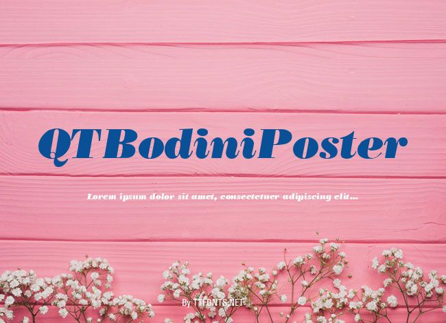 QTBodiniPoster example