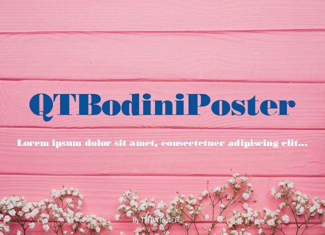 QTBodiniPoster example