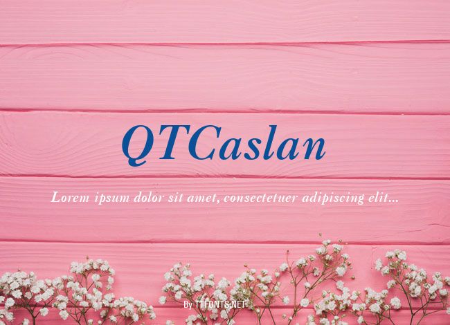 QTCaslan example