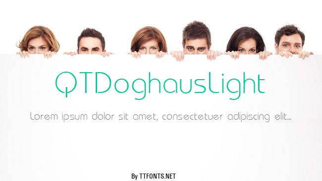 QTDoghausLight example