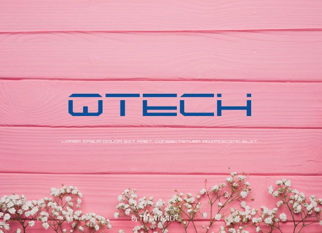 QTECH example