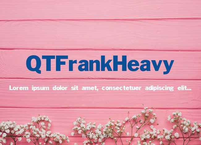 QTFrankHeavy example