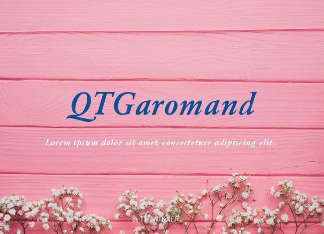 QTGaromand example