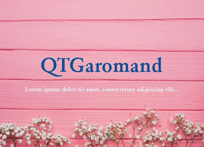 QTGaromand example