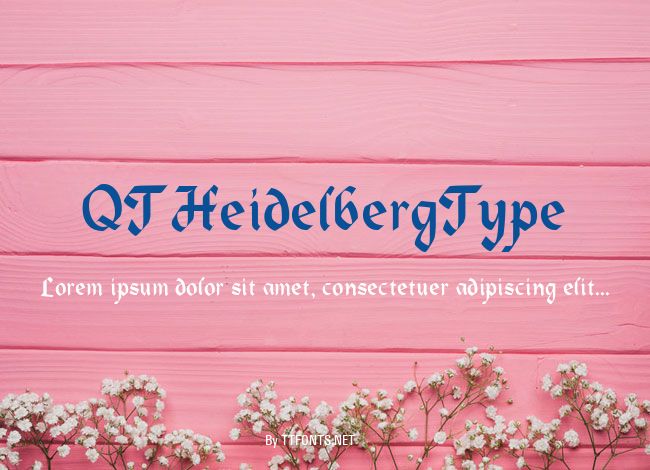 QTHeidelbergType example