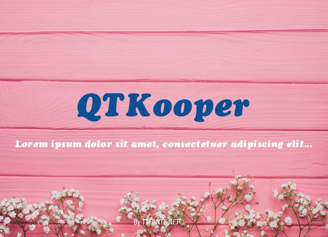 QTKooper example