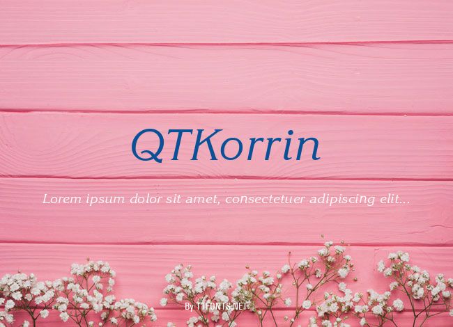 QTKorrin example
