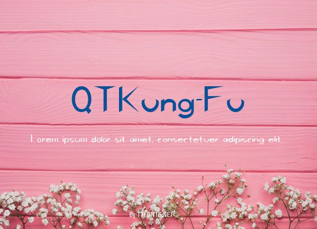 QTKung-Fu example