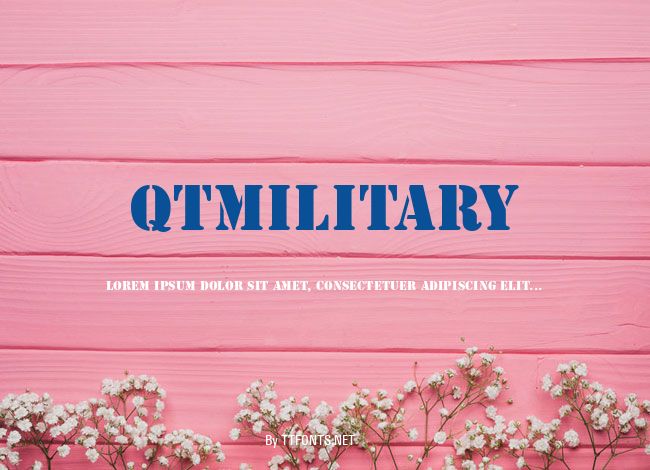 QTMilitary example