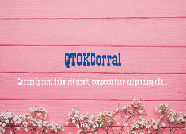 QTOKCorral example