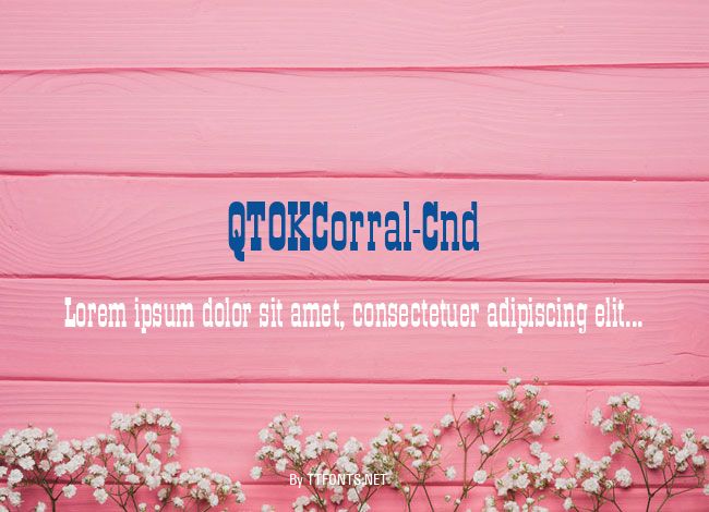 QTOKCorral-Cnd example