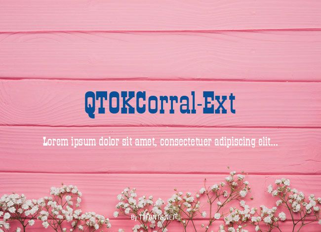 QTOKCorral-Ext example
