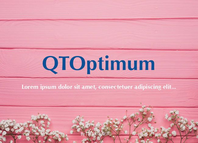 QTOptimum example