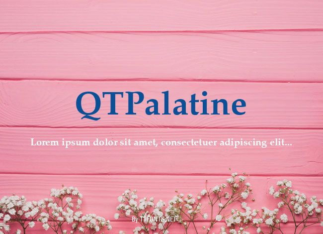 QTPalatine example
