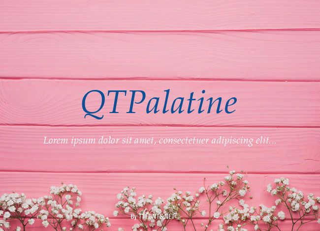 QTPalatine example