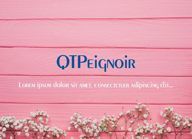 QTPeignoir example