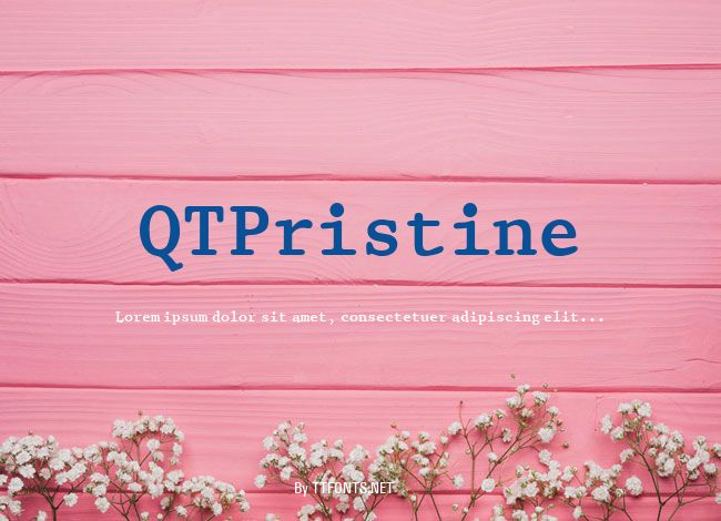 QTPristine example