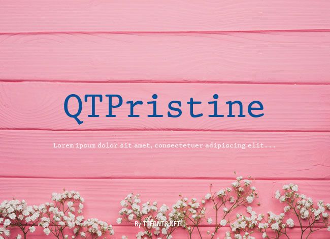 QTPristine example