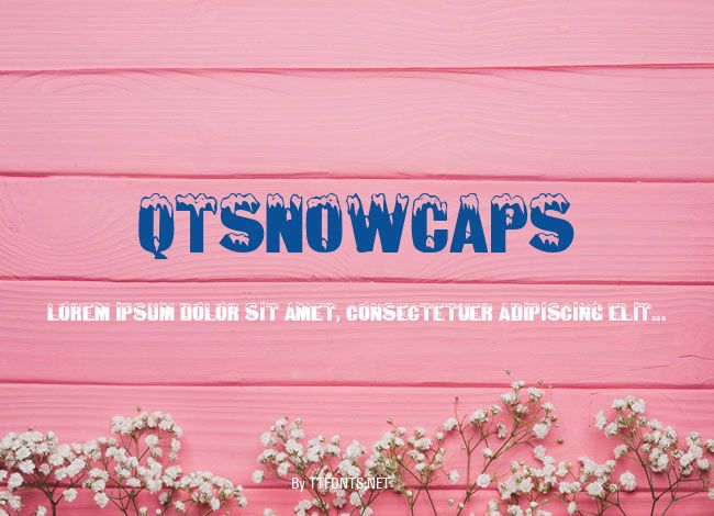 QTSnowCaps example