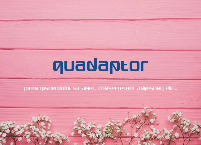 Quadaptor example