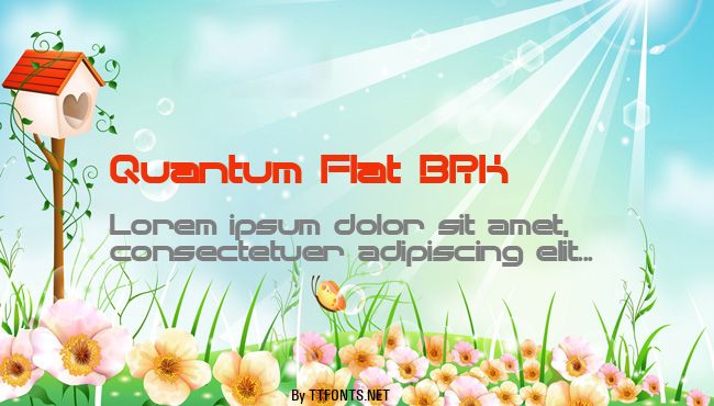 Quantum Flat BRK example