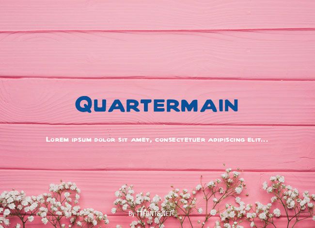 Quartermain example