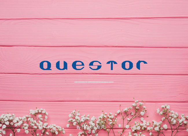 QUESTOR example