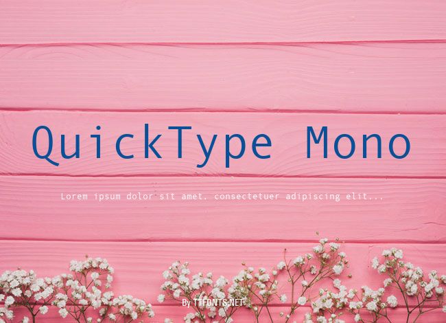 QuickType Mono example