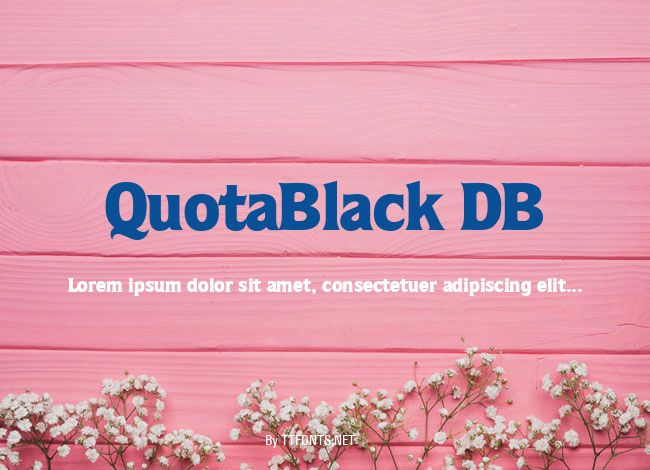 QuotaBlack DB example