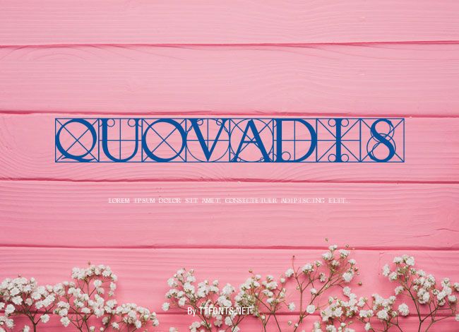 Quovadis example