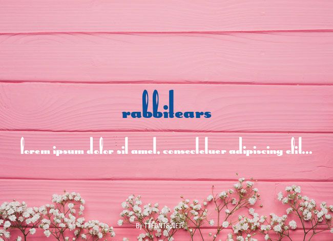 RabbitEars example
