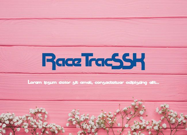 RaceTracSSK example