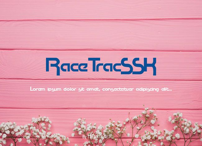 RaceTracSSK example