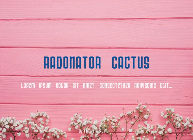 Radonator Cactus example
