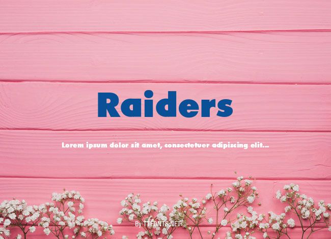 Raiders example