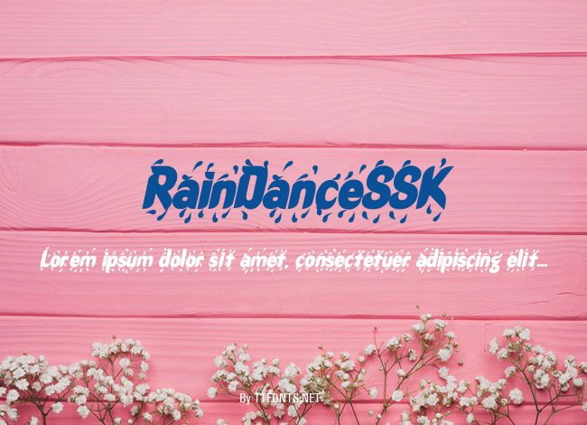 RainDanceSSK example